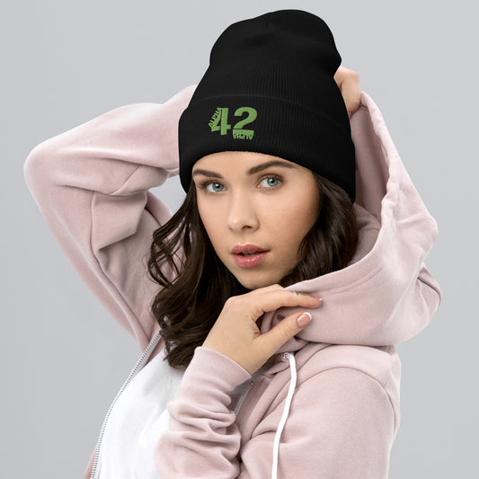 A42A - Cuffed Beanie